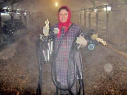 Доярка колхоза «Красный Кутулук» Галина Самодишвили с доильным аппаратом Доярка колхоза «Красный Кутулук» Галина Самодишвили с доильным аппаратом