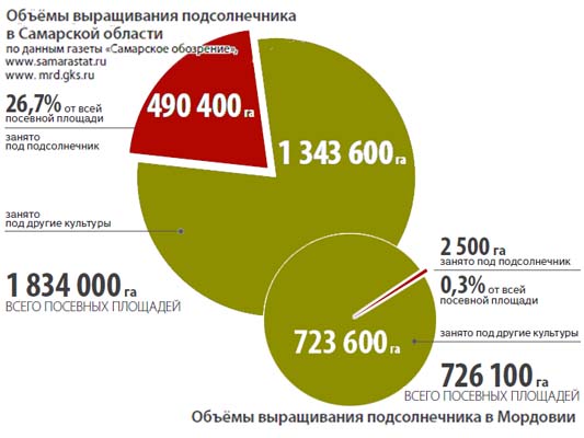Площади подсолнечника в Самарской области и в Мордовии Площади подсолнечника в Самарской области и в Мордовии